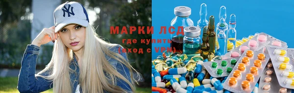мяу мяу мука Алзамай