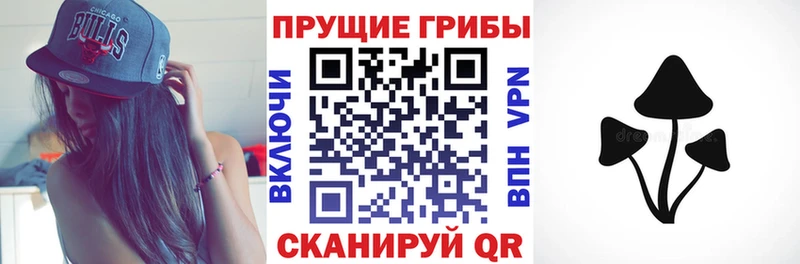 Псилоцибиновые грибы Psilocybe  где найти наркотики  Нягань 
